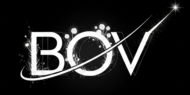 Web Accessibility Expert – Beyond Our Vision